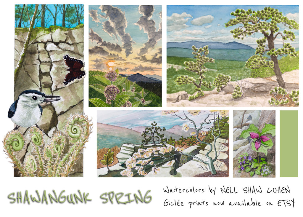 Collage of five watercolor landscape paintings with the text "Shawangunk Spring: Watercolors by Nell Shaw Cohen, giclee prints now available on Etsy"