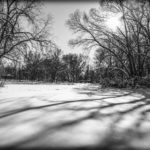 Snow-covered field with tree shadows