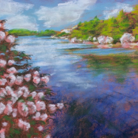 Mountain Laurel at Lake Minnewaska