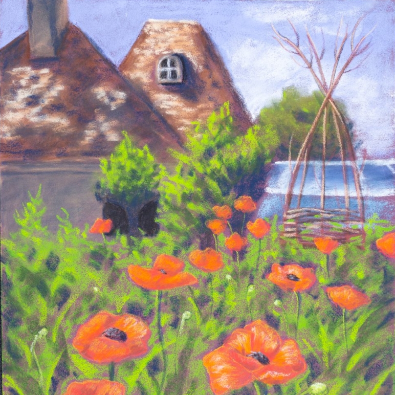 Poppies at Stonecrop Gardens